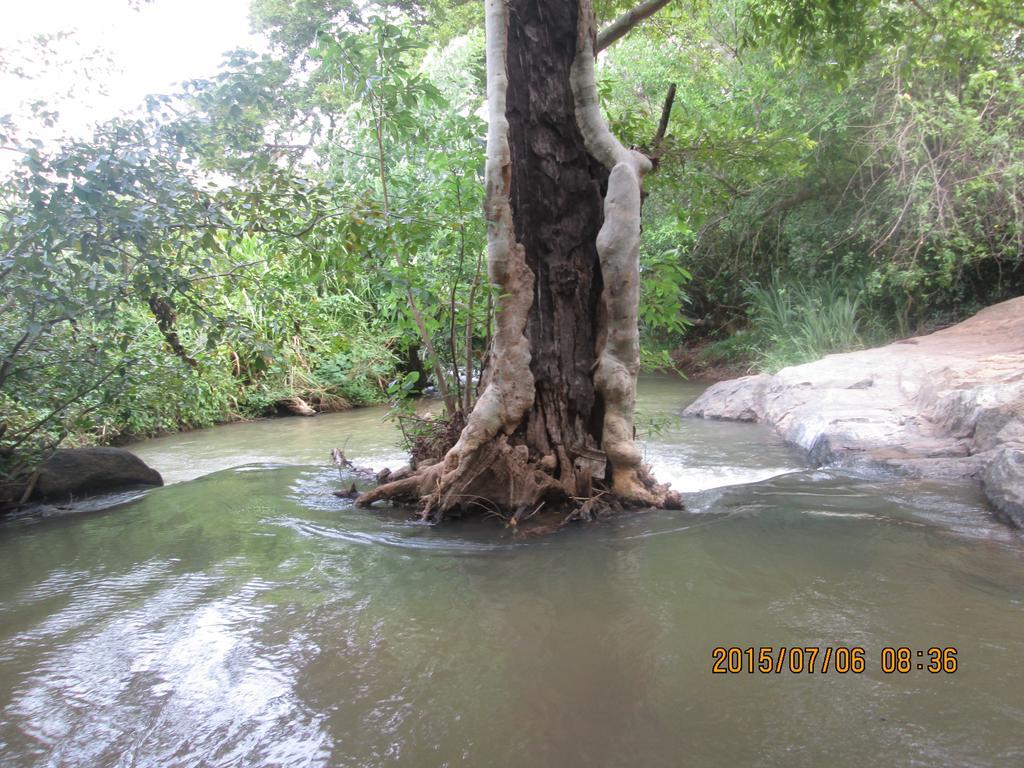 Sigiriya River Side Resort Exteriör bild